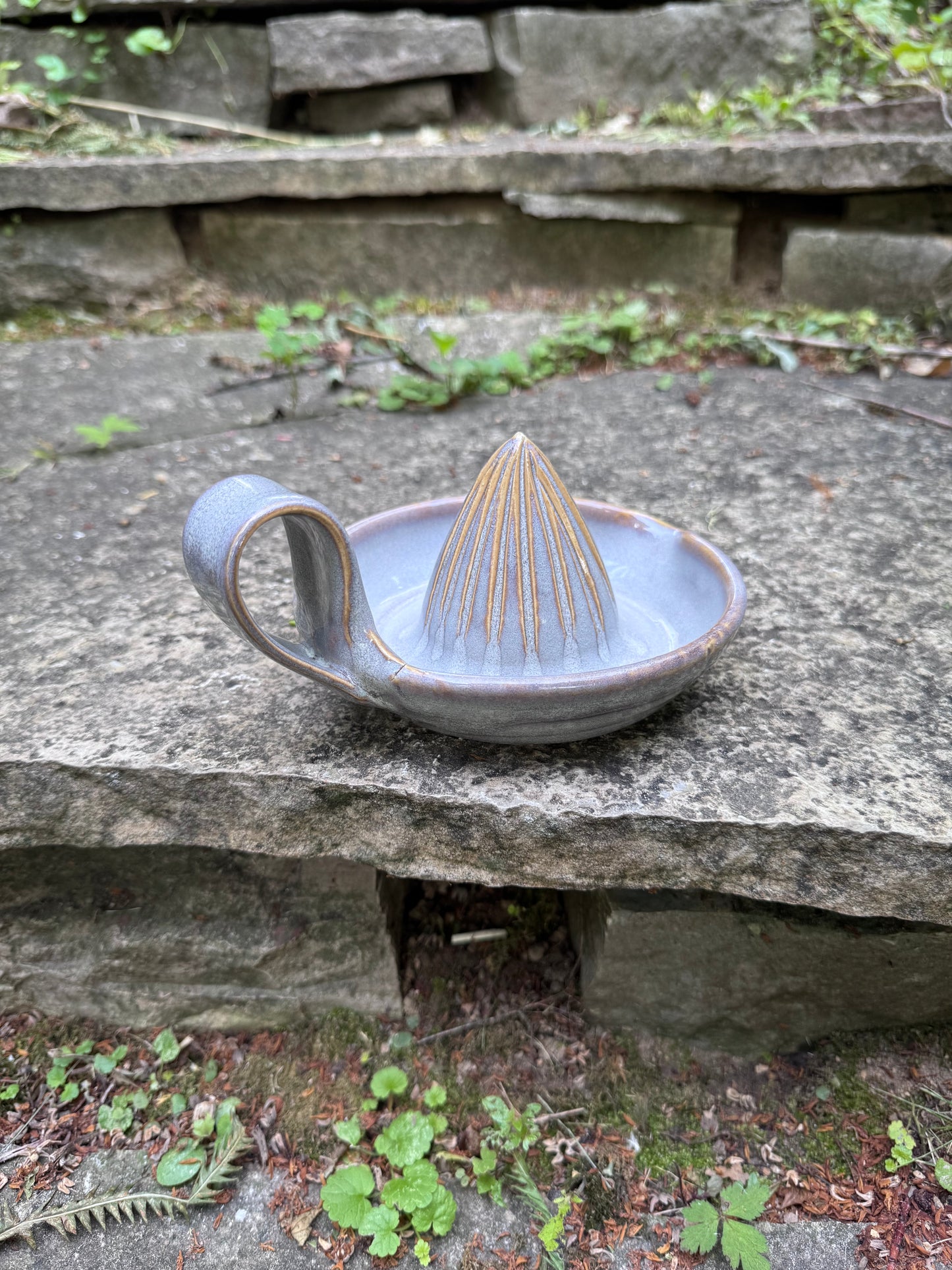 Citrus Juicer - Grey