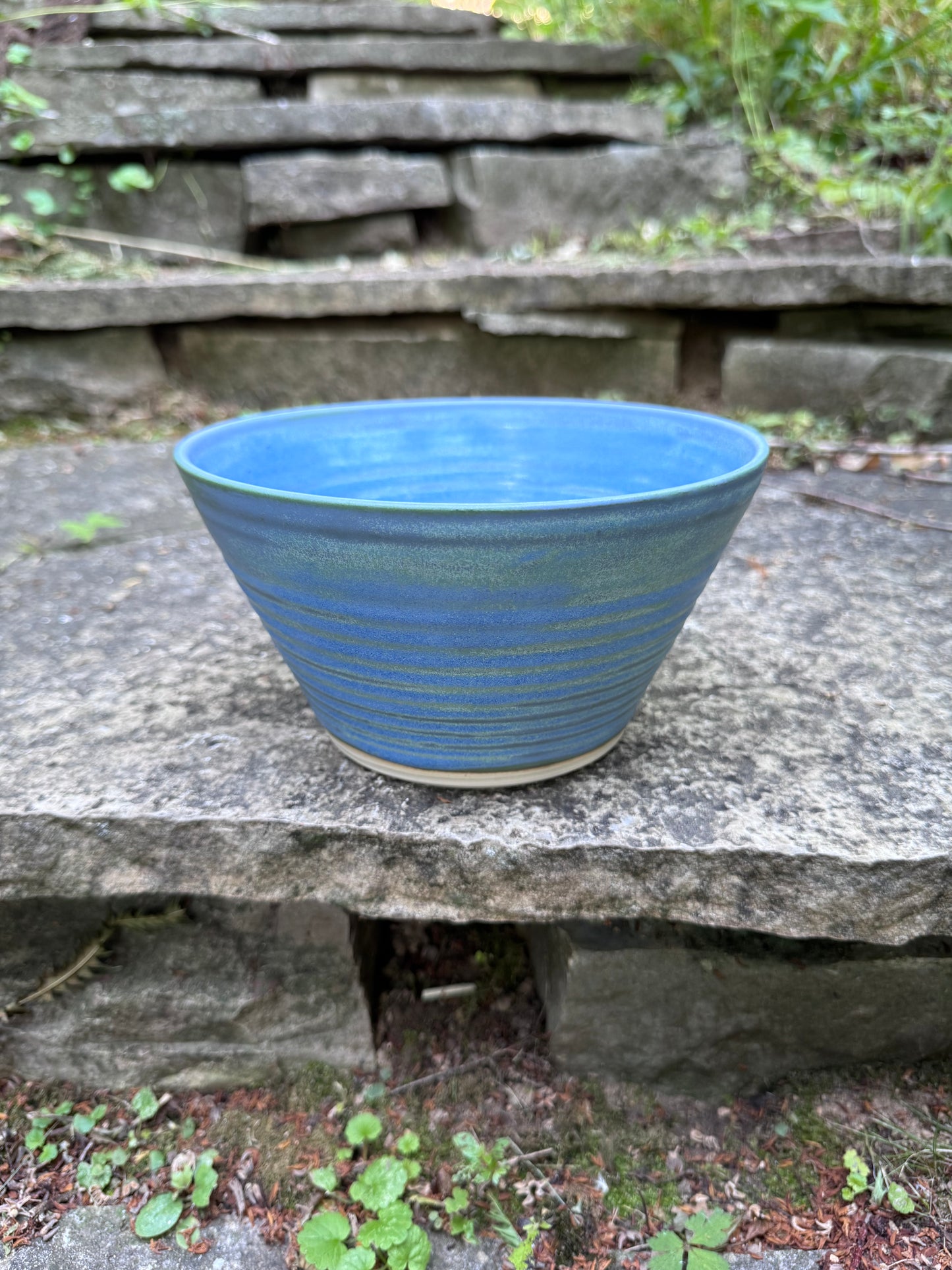 Blue Green Ramen Bowl