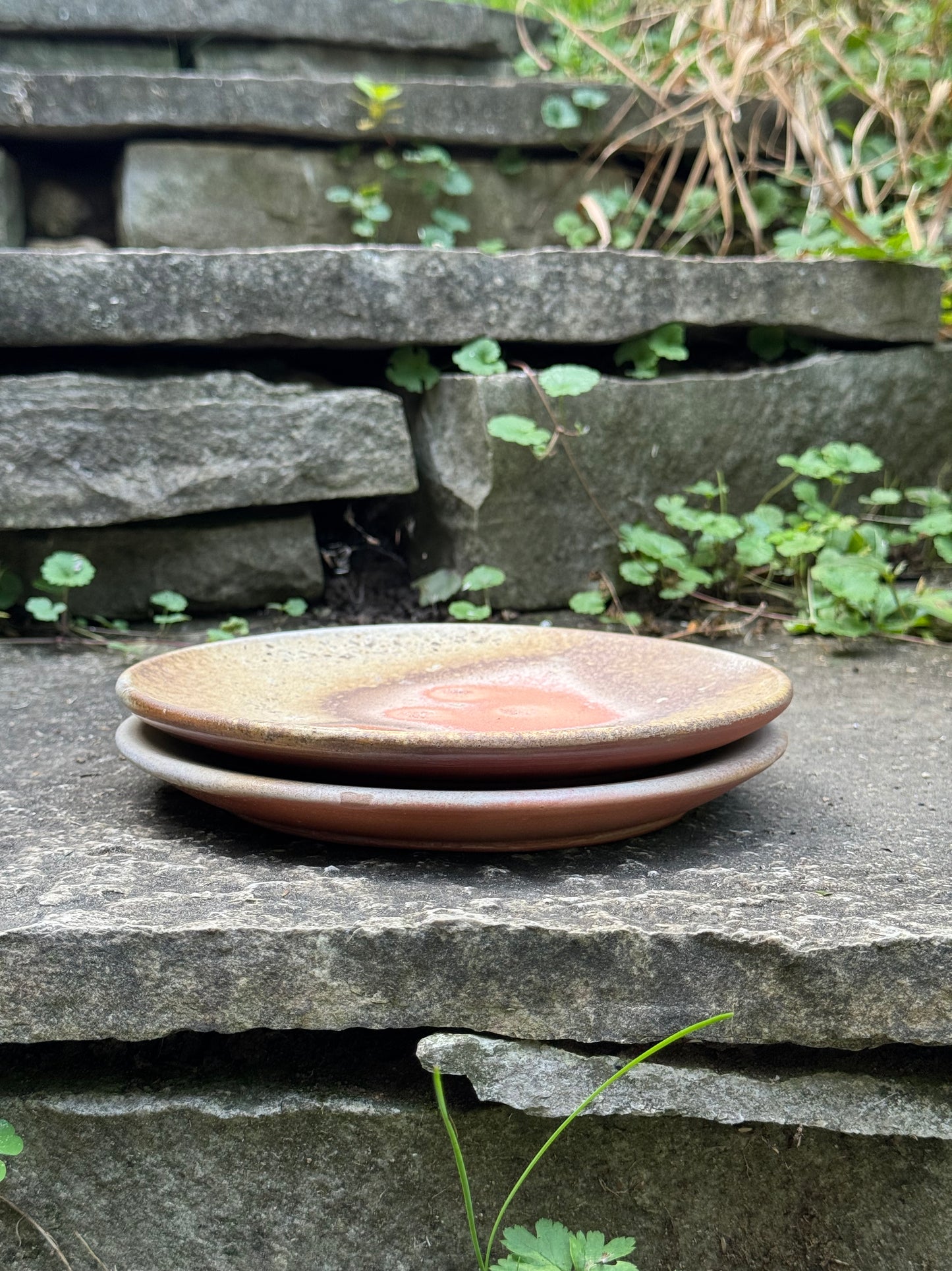 Lunch Plate 2- wood fired