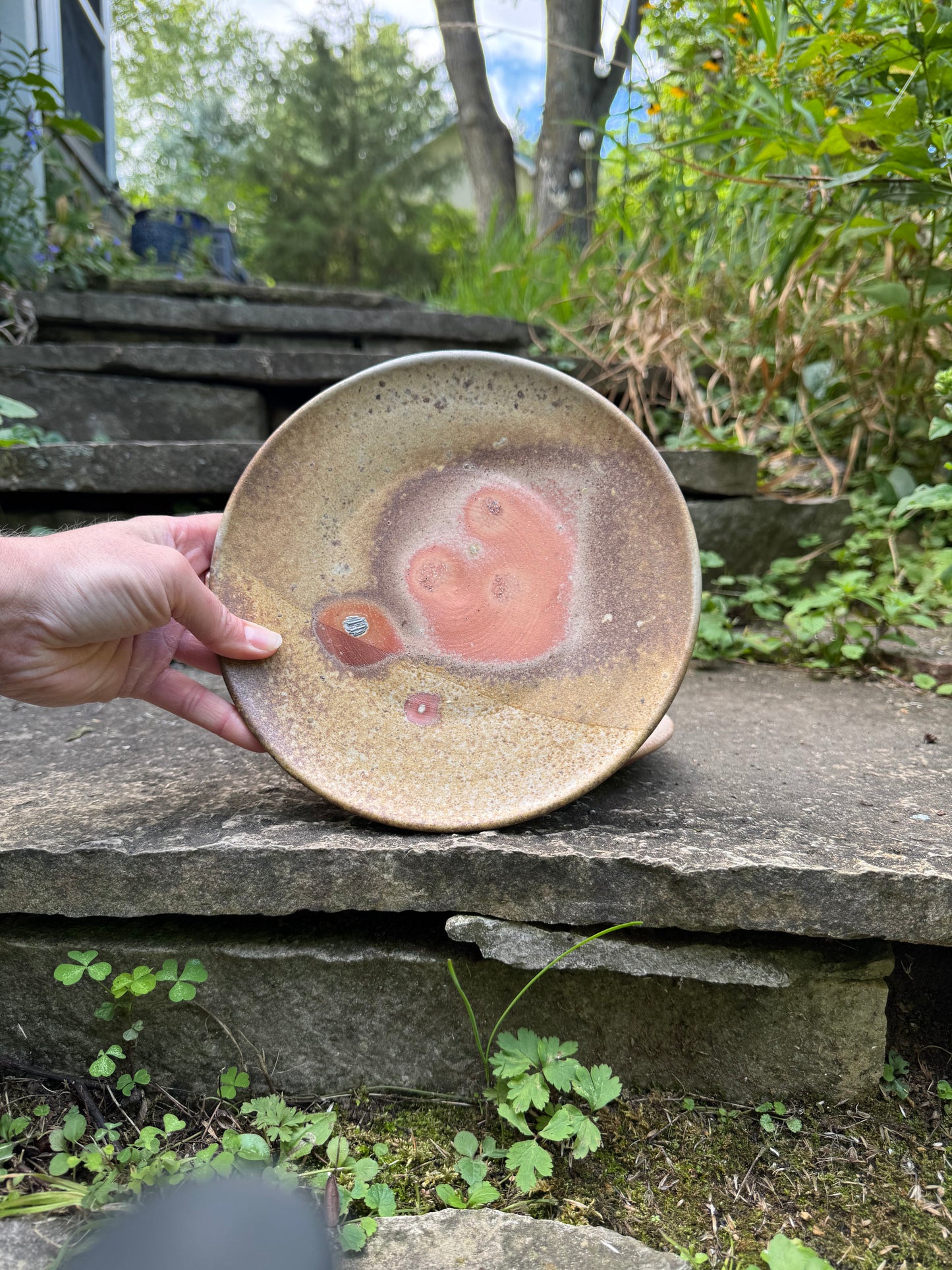 Lunch Plate 1- wood fired