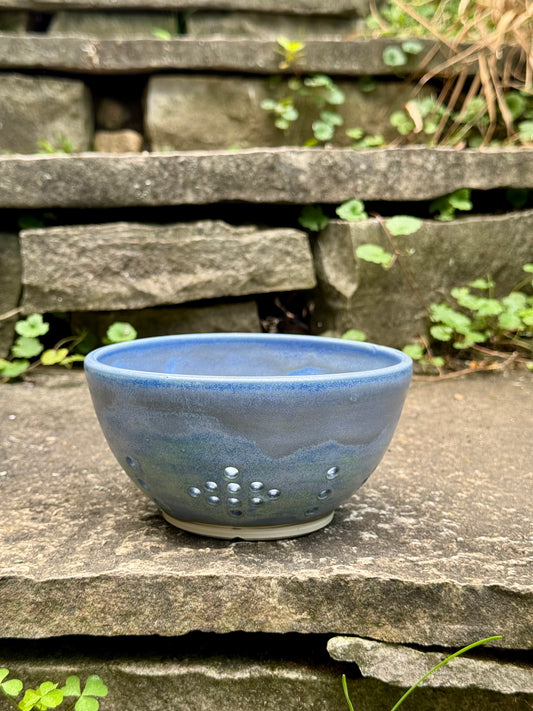 Berry Bowl 1