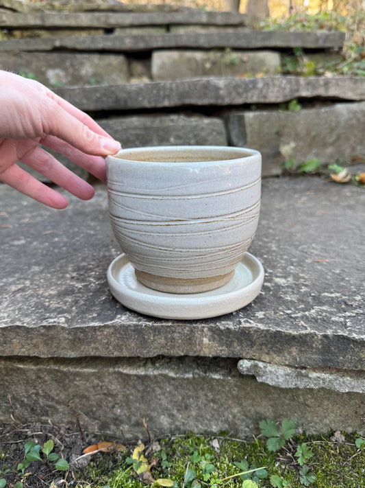 Planter with Drainage Tray - Neutral