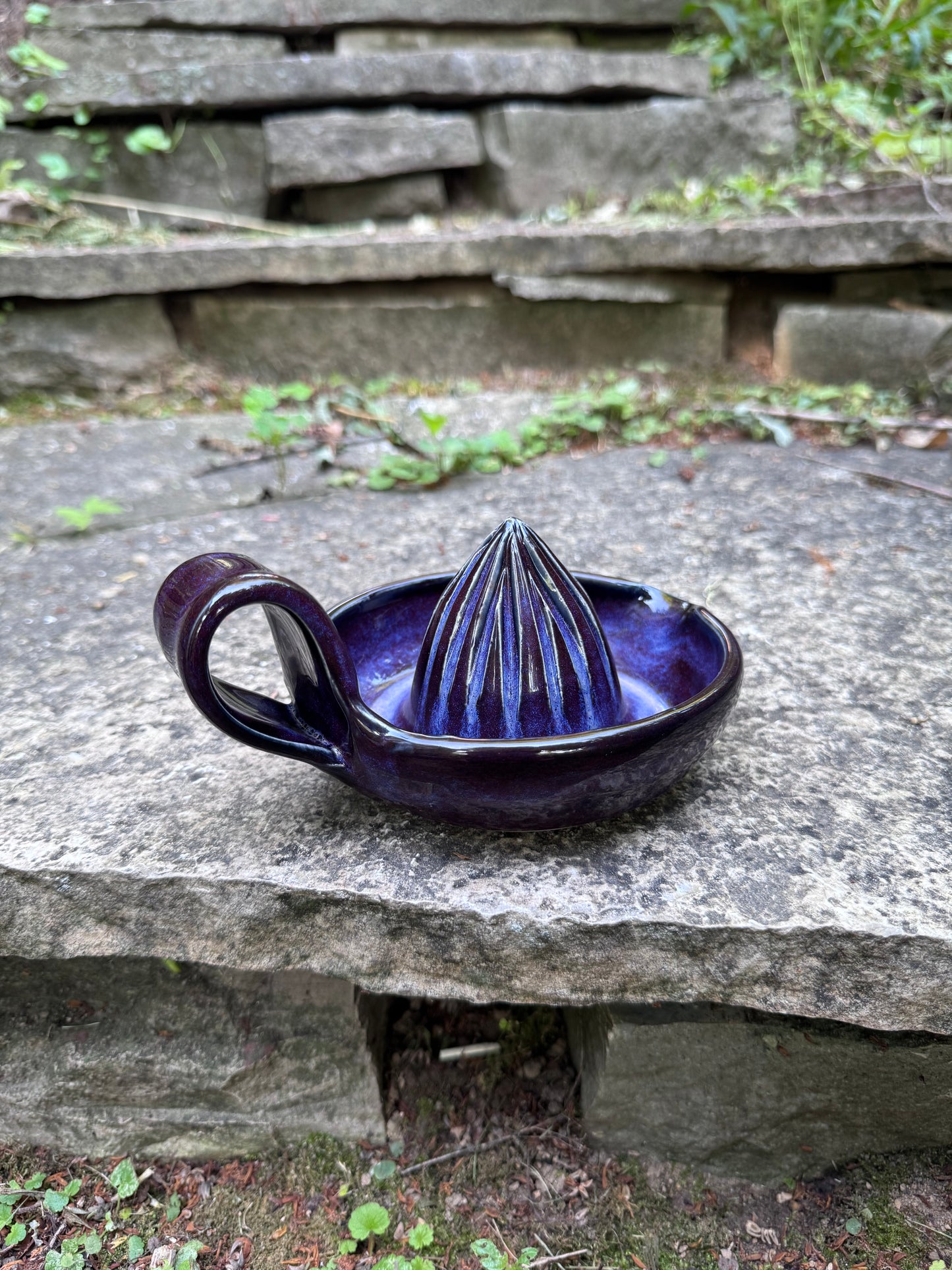 Citrus Juicer- Purple