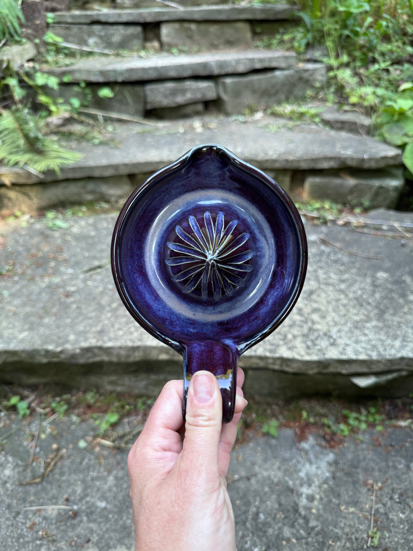 Citrus Juicer- Purple