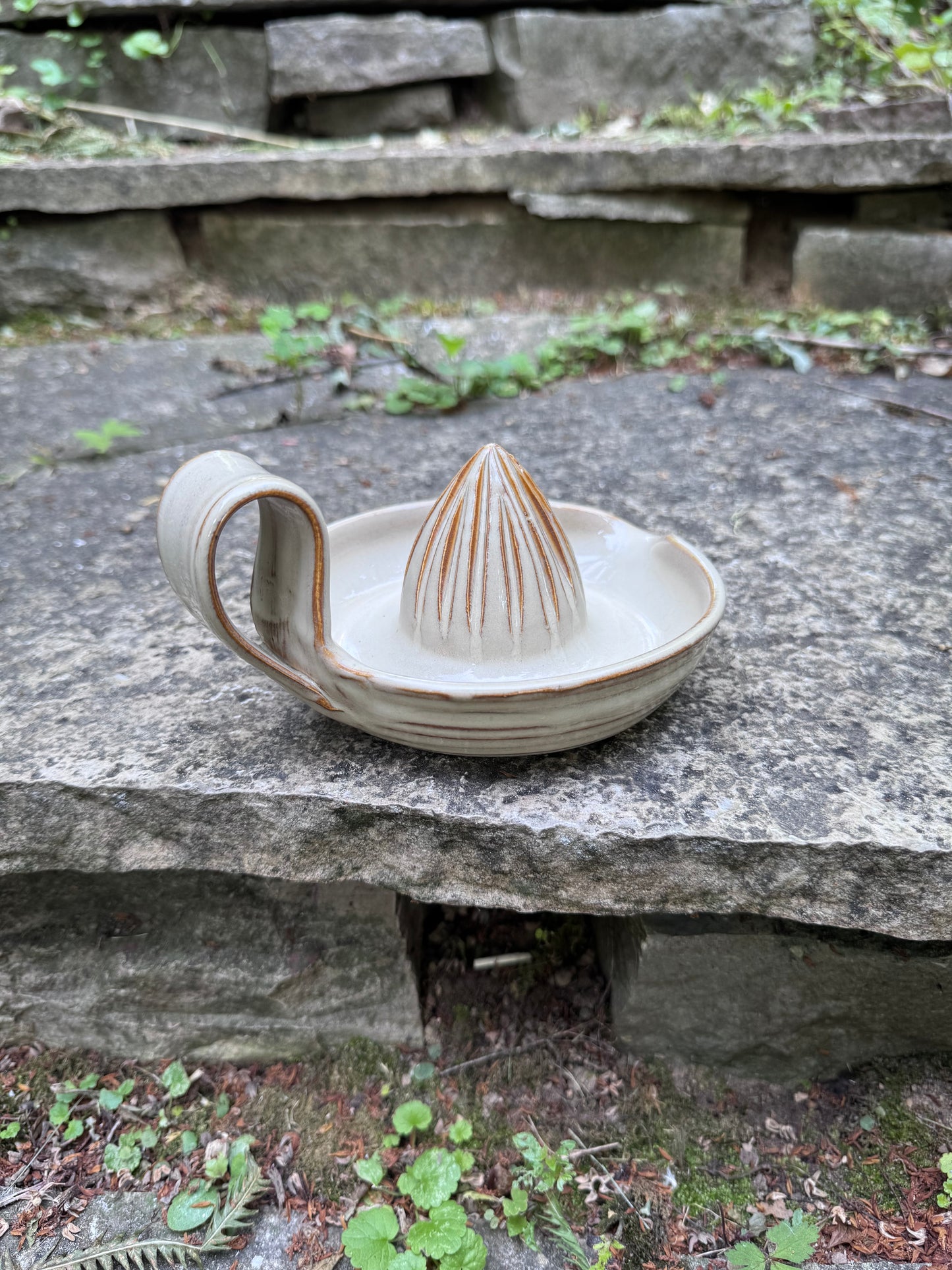 Citrus Juicer - Shell