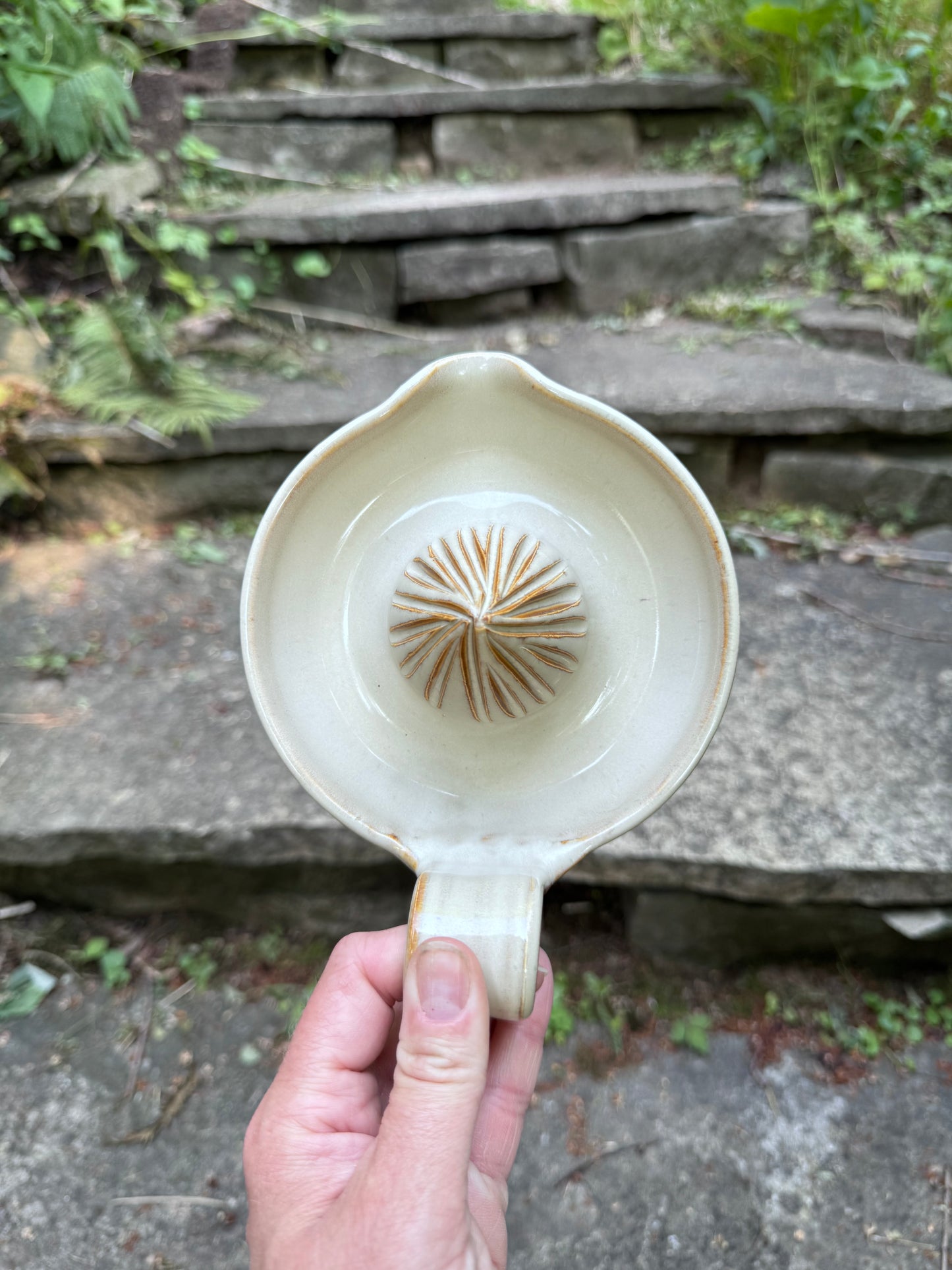 Citrus Juicer - Shell