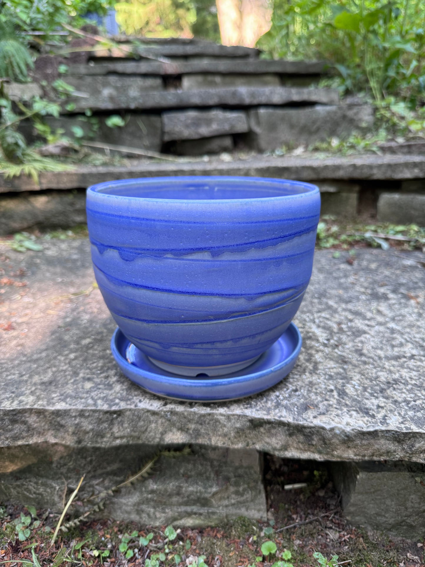 Purple Planter