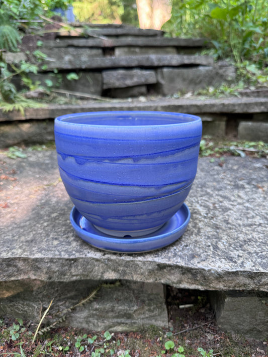 Purple Planter