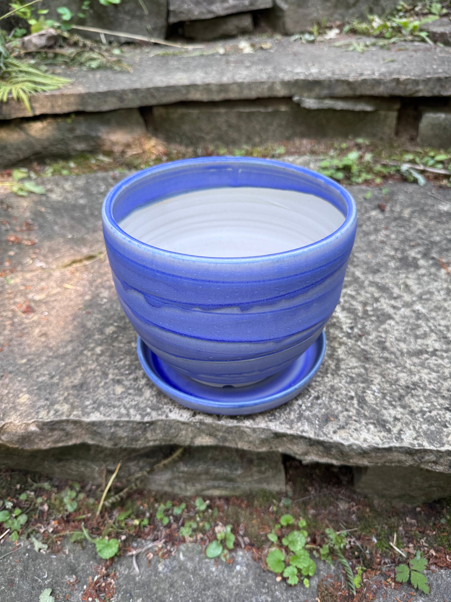 Purple Planter